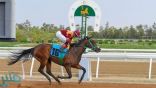 موسم سباقات الخيل للمصيف ينطلق الجمعة القادم بميدان الملك خالد للفروسية بالطائف