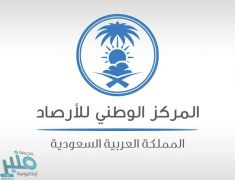 الأرصاد: استمرار هطول أمطار رعدية مصحوبة بزخات من البرد على هذه المناطق