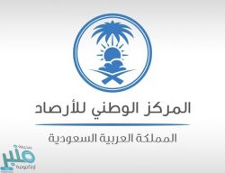 الأرصاد: استمرار هطول أمطار رعدية مصحوبة بزخات من البرد على هذه المناطق