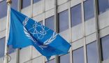 الوكالة الدولية للطاقة الذرية قلقة من احتمال تعرض المنشآت النووية الأوكرانية للخطر