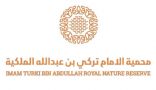 محمية الإمام تركي بن عبد الله الملكية تعلن عن ضوابط تربية النحل في الحجرة والتيسية