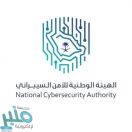 الهيئة الوطنية للأمن السيبراني تصدر الحزمة الثانية من «أدوات الأمن السيبراني»