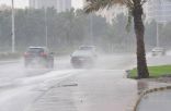 الطقس في عسير: تحذيرات من أمطار رعدية غزيرة حتى التاسعة مساءً