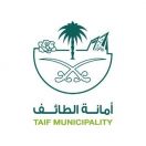 أمانة الطائف تعمل على أنسنة المدينة وتدعم مبادرة جودة الحياة