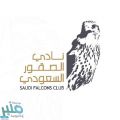 صقران بيعا بأكثر من ربع مليون ريال في مزاد نادي الصقور السعودي