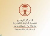 المركز الوطني لتنمية الحياة الفطرية يوفر 74 وظيفة للجنسين لحملة الدبلوم فأعلى