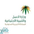 ”العمل” : نهاية مهلة الاستثناء لمهنة مدير معرض في الـ 12 نشاط والبدء برصد المخالفات