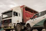 “التجارة” تضبط 6 شاحنات محمّلة بالبصل تم إخفاؤها لبيعها بسعر أعلى