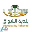 إتلاف 7 كيلوجرامات من الخضروات والفواكه الفاسدة في الليث