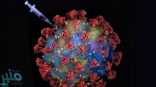 دراسة: مناعة الأجسام المضادة لكورونا تراجعت بسرعة خلال الصيف