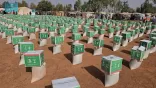 مركز الملك سلمان للإغاثة يوزّع 100 سلة غذائية في مالي