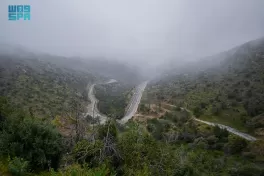 أمطار على منطقة الباحة