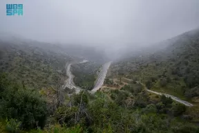 أمطار على منطقة الباحة