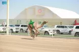 انطلاق منافسات الحقايق ضمن مهرجان وليِّ العهدِ للهجن غدًا