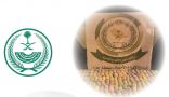 القبض على 3 أشخاص بحوزتهم (57) كيلو جرامًا من نبات القات المخدر بجازان