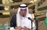 وزير الخارجية يؤكد نجاح أعمال القمتين الخليجية والعربية الطارئتين