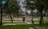 أمطار على منطقة الباحة