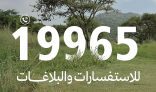 “الغطاء النباتي” يطلق خدمات الرقم الموحد 19965 لتلقي البلاغات والاستفسارات
