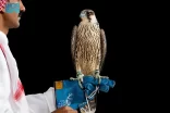 بيع صقرين بـ (163) ألف ريال في الليلة الـ 11 لمزاد نادي الصقور السعودي 2025