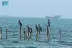 “الحياة الفطرية” تطلق مشروعًا لتقييم الموائل والأنواع البحرية في الخليج العربيhttps://www.mnbr.news/390027.html