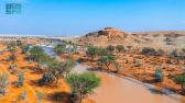 هيئة تطوير محمية الملك عبدالعزيز الملكية تُشارك في منتدى المحميات الطبيعية “حِمى”