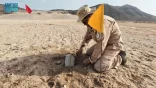 مشروع مركز الملك سلمان للإغاثة “مسام” ينزع (971) لغمًا في الأراضي اليمنية خلال أسبوع