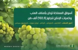 أسواق المملكة تزدان بأجود أصناف العنب وكميات الإنتاج تتجاوز (122.3) ألف طن