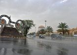 أمطار على الباحة والقصيم