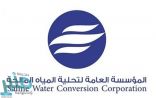 أكثر من 13 مليار ريال حجم محفظة مشاريع “التحلية” لـ21 مشروعاً مائياً