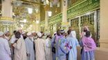 “الروضة الشريفة” بالمسجد النبوي تستقبل ضيوف الرحمن قبل المغادرة إلى أوطانهم