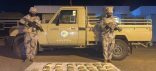 حرس الحدود بجازان يحبط تهريب 615 كيلوجرامًا من نبات القات المخدر