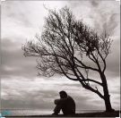 وعِنْدَمَا تشِيخُ المَشَاعِر