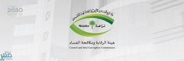 هيئة الرقابة ومكافحة الفساد تباشر عددًا من القضايا الجنائية