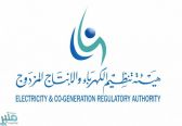 هيئة تنظيم الكهرباء والإنتاج المزدوج تطلق حملة “تعويضك مضمون”
