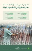 “البيئة” تؤكد أهمية ذبح الأضاحي داخل المسالخ لضمان سلامة اللحوم وحماية البيئة والصحة العامة